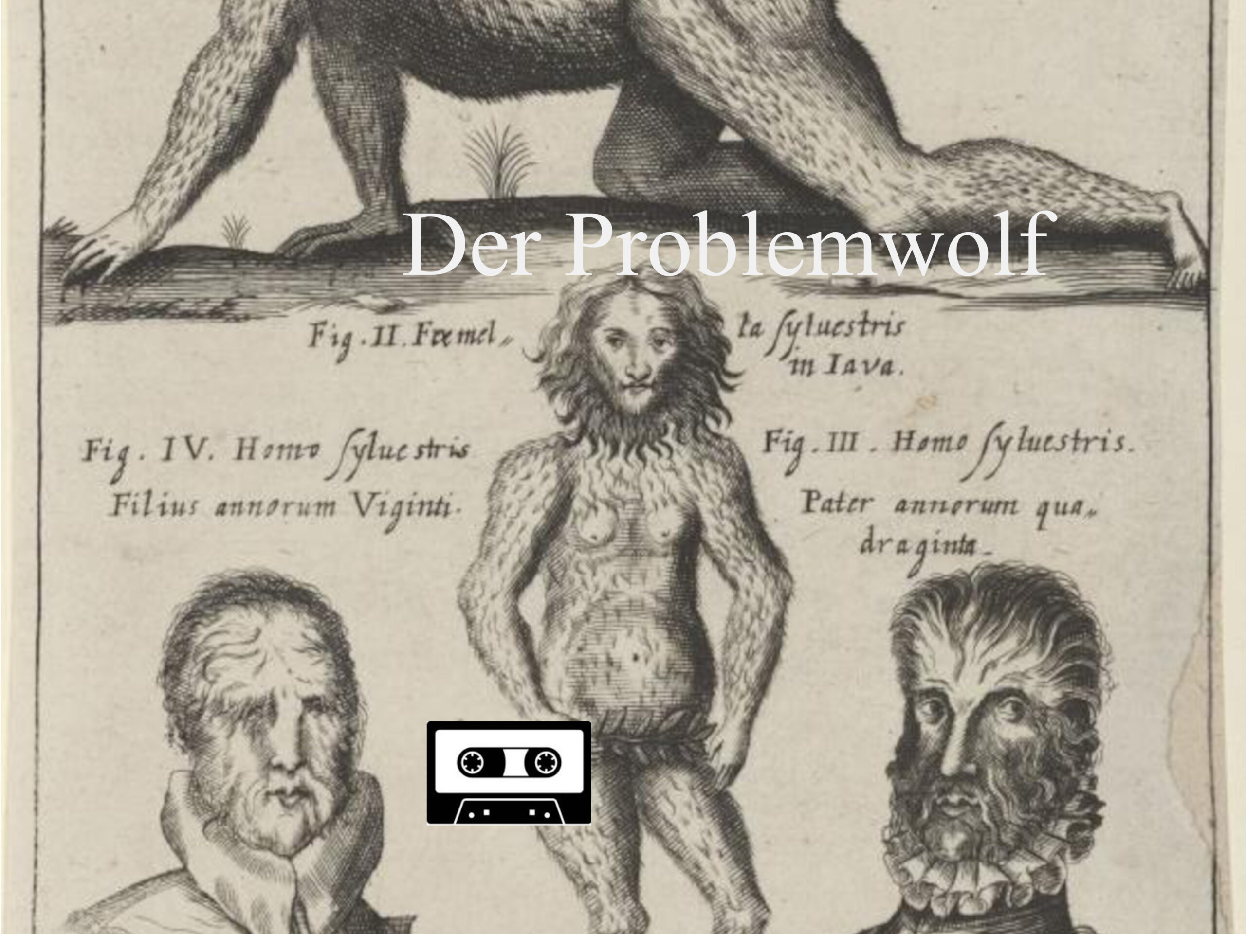 Der Problemwolf (Text und Audio)